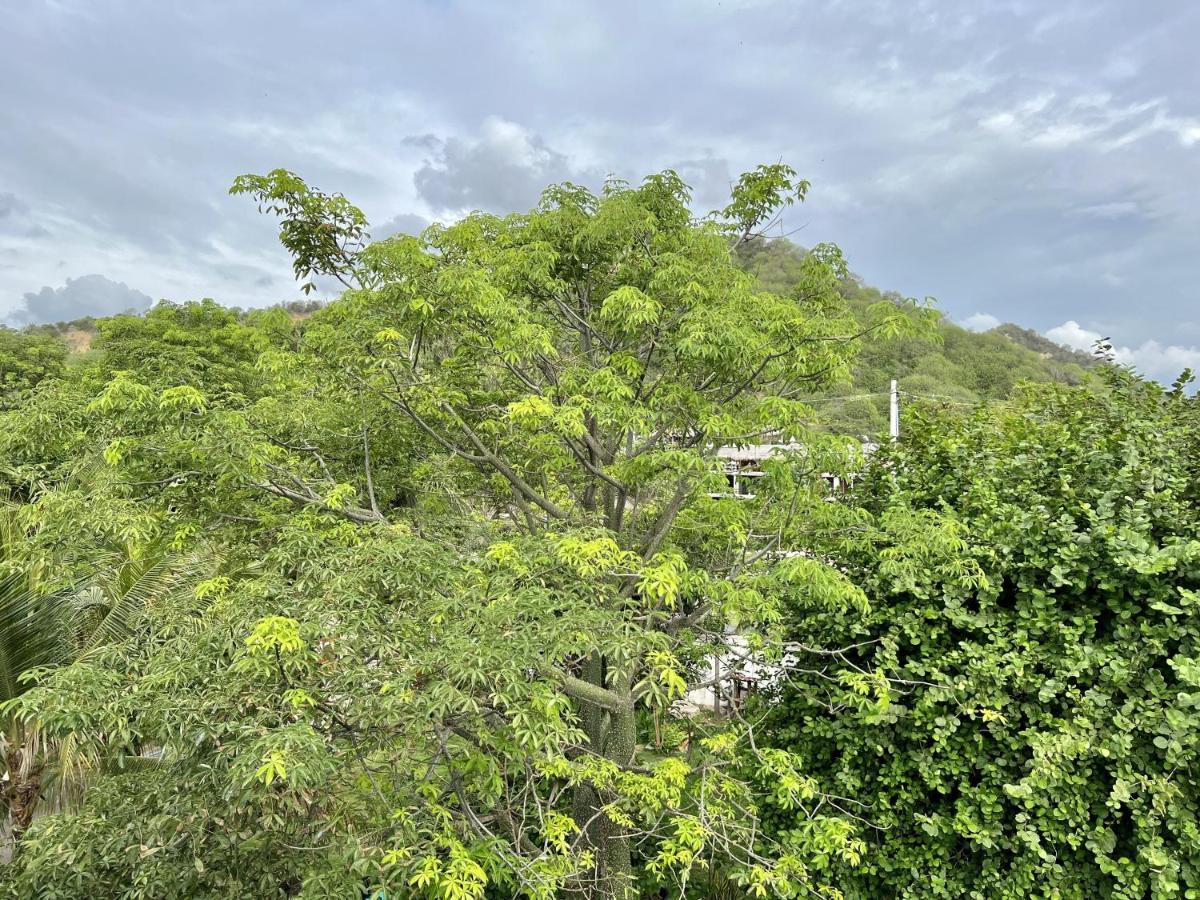 Palmazul & Hotel San Clemente